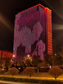 威海綠(lv)軸中央商務區亮化工程(cheng)